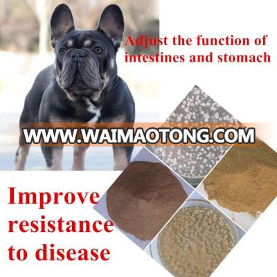 GMP Pet Probiotics Dog Veterinary Medicine